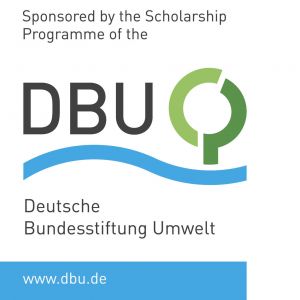 Stypendium DBU Fellowships