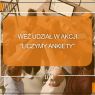 Trwa grywalizacja w ramach akcji „Liczymy ankiety!”